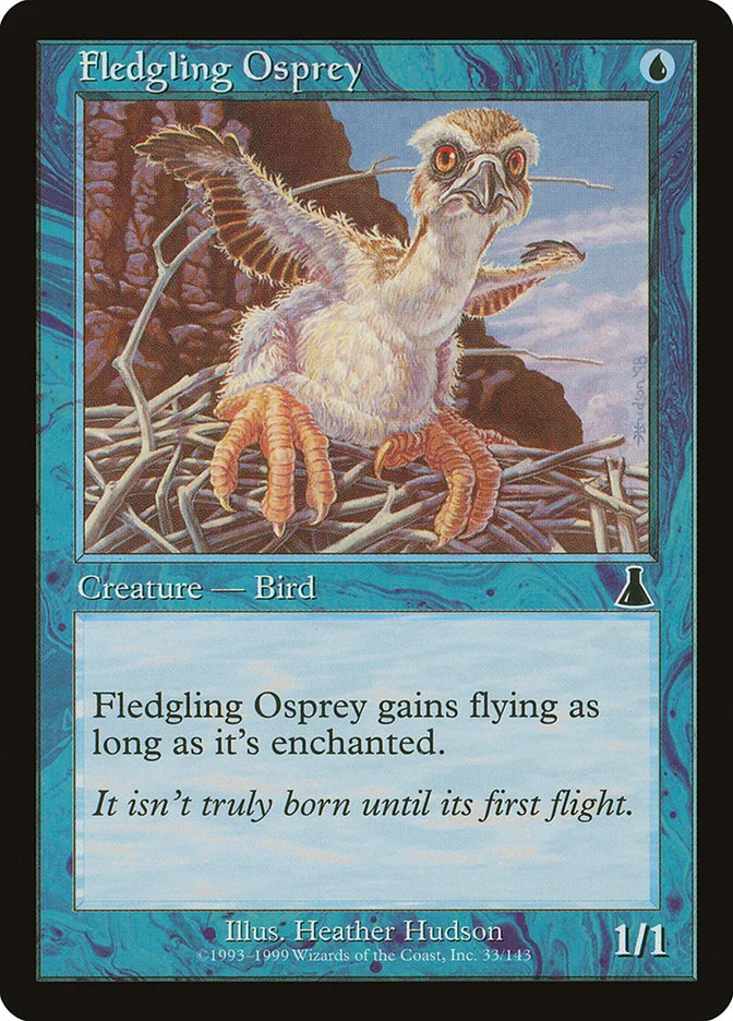 Fledgling Osprey 「UDS/33」「EN」