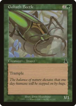 Goliath Beetle 「UDS/107」「EN」