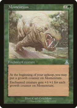 Momentum 「UDS/113」「EN」