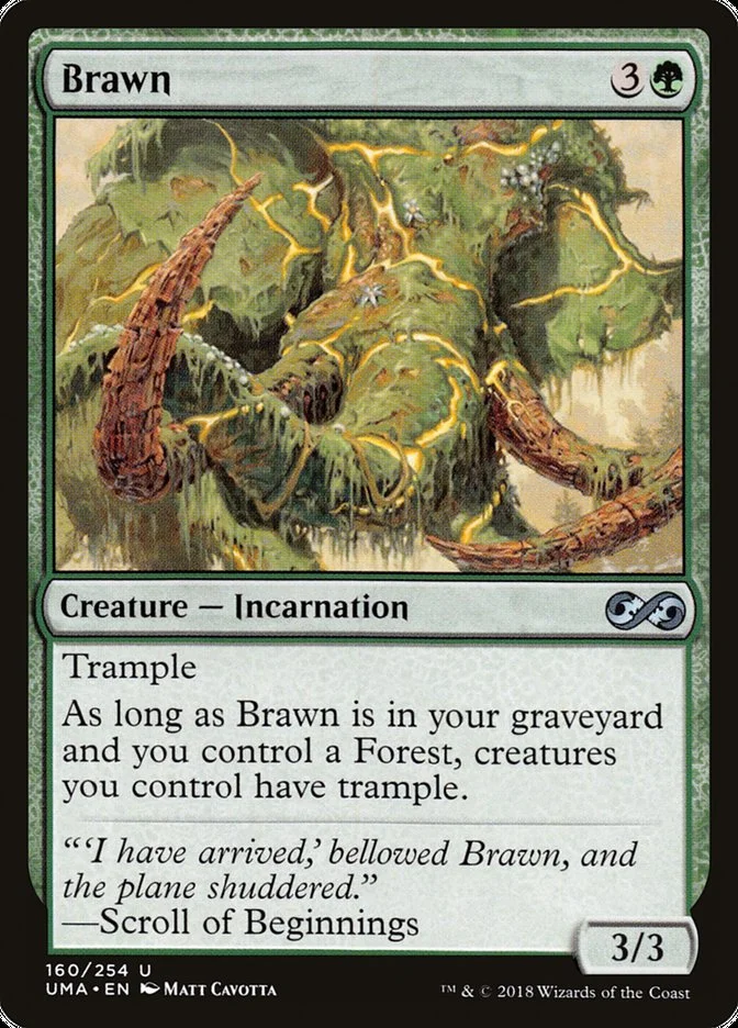Brawn 「UMA/160」「EN」
