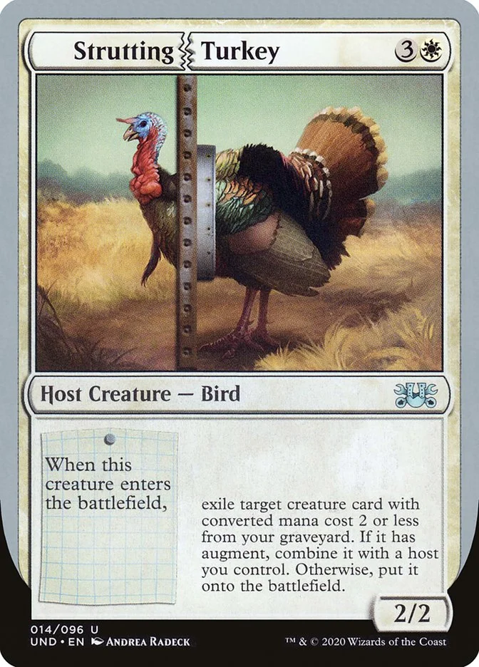 Strutting Turkey 「UND/14」「EN」