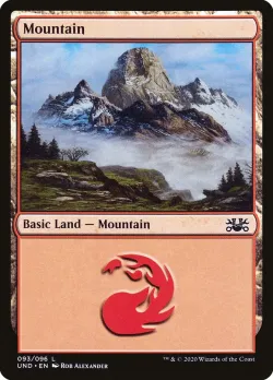 Mountain 「UND/93」「EN」