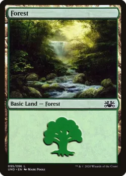Forest 「UND/95」「EN」