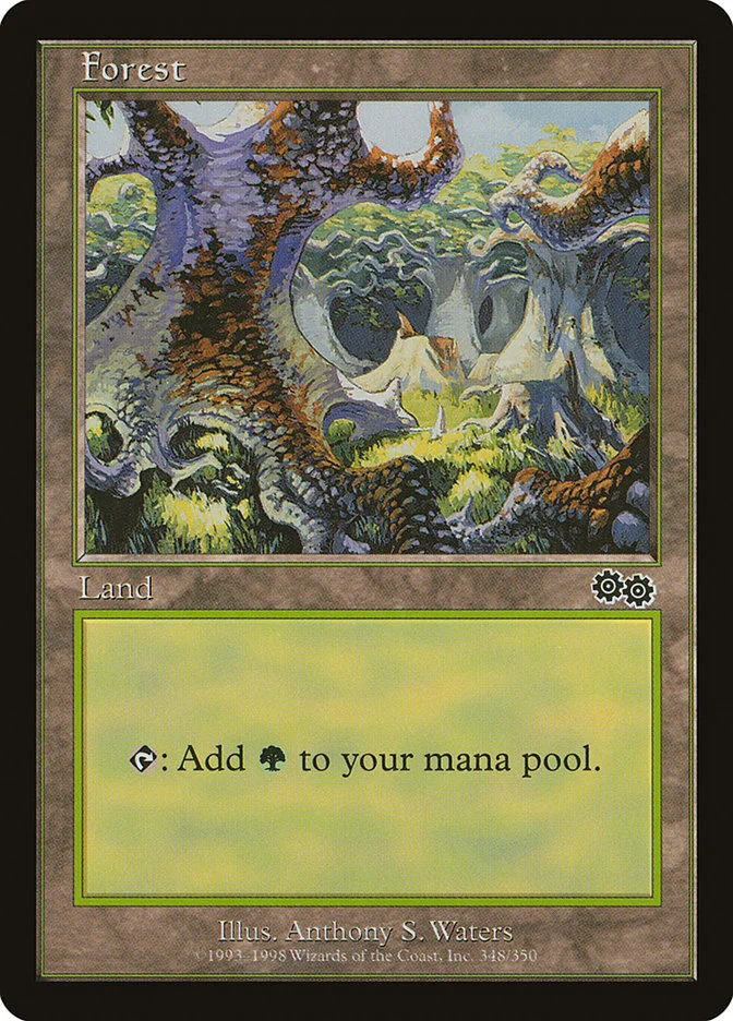 Forest 「USG/348」「EN」