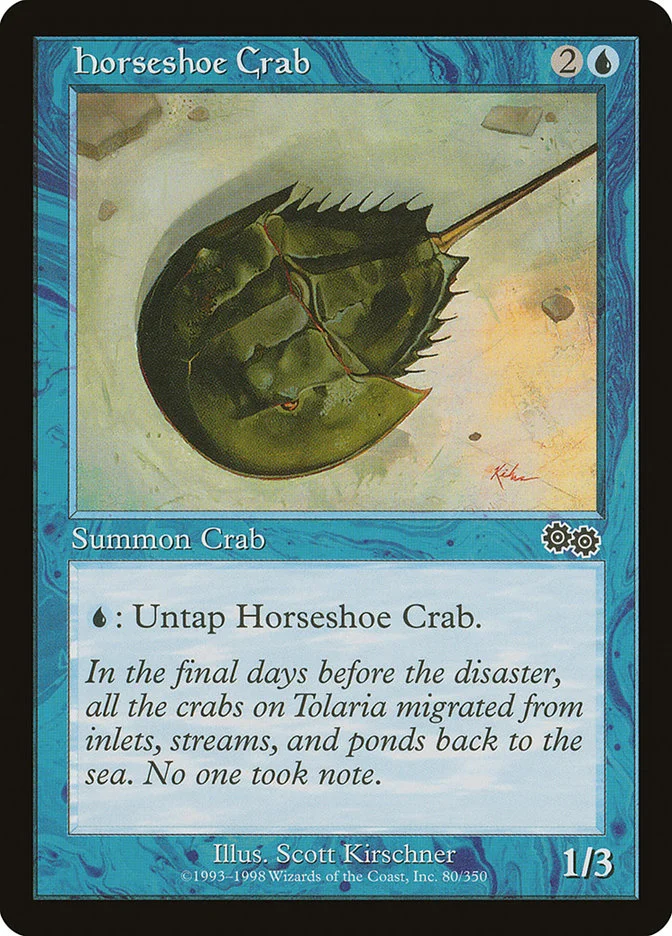 Horseshoe Crab 「USG/80」「EN」