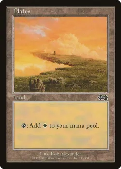 Plains 「USG/333」「EN」