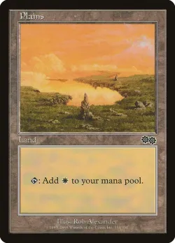 Plains 「USG/334」「EN」