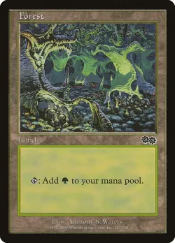 Forest 「USG/347」「EN」