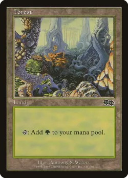Forest 「USG/349」「EN」