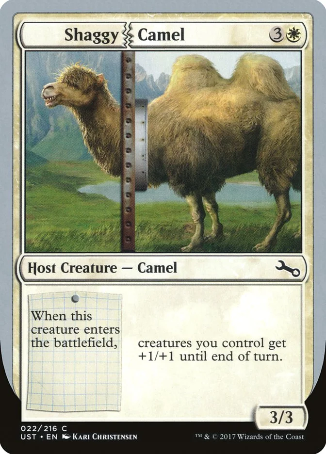 Shaggy Camel 「UST/22」「EN」