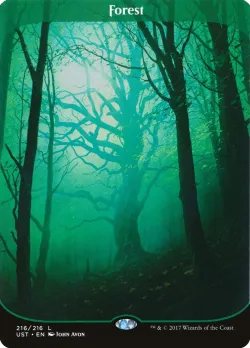 Forest 「UST/216」「EN」