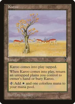 Karoo 「VIS/165」「EN」