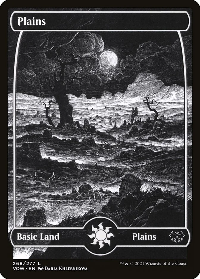Plains 「VOW/268」「EN」