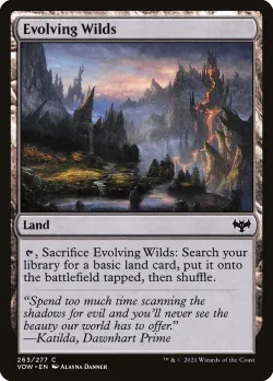 Evolving Wilds #263 · Magic: The Gathering