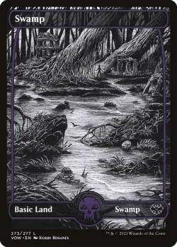 Swamp #273 · Magic: The Gathering