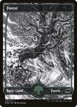 Forest #276 · Magic: The Gathering