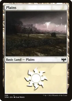 Plains 「VOW/398」「EN」