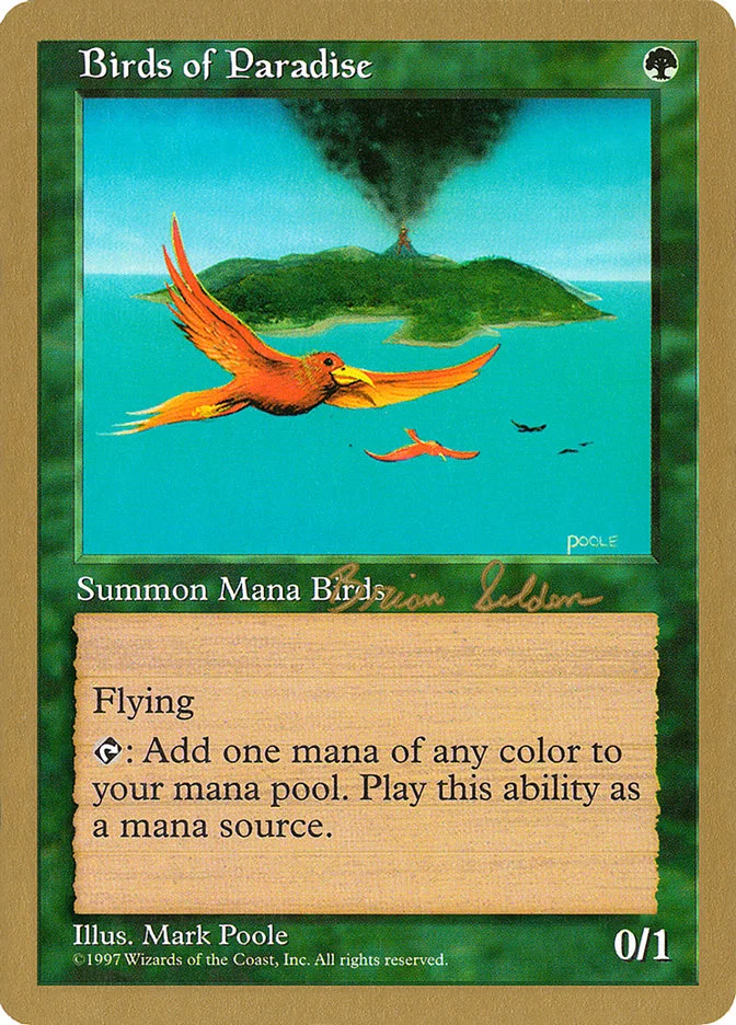 Birds of Paradise 「WC98/bs280」「EN」