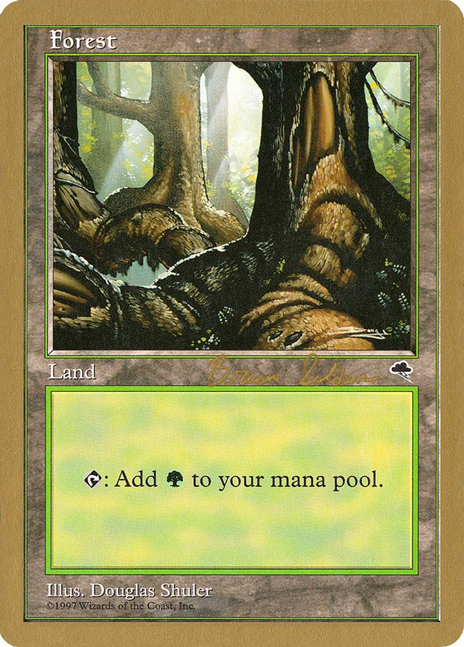 Forest 「WC98/bs348」「EN」