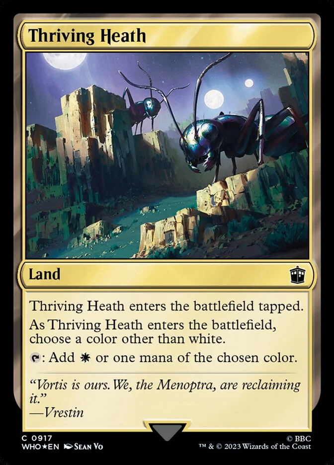 Thriving Heath 「WHO/917」「EN」