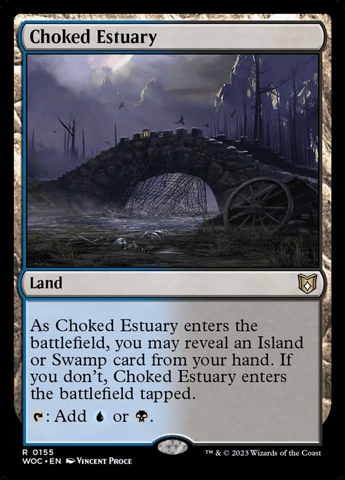 Choked Estuary 「WOC/155」「EN」