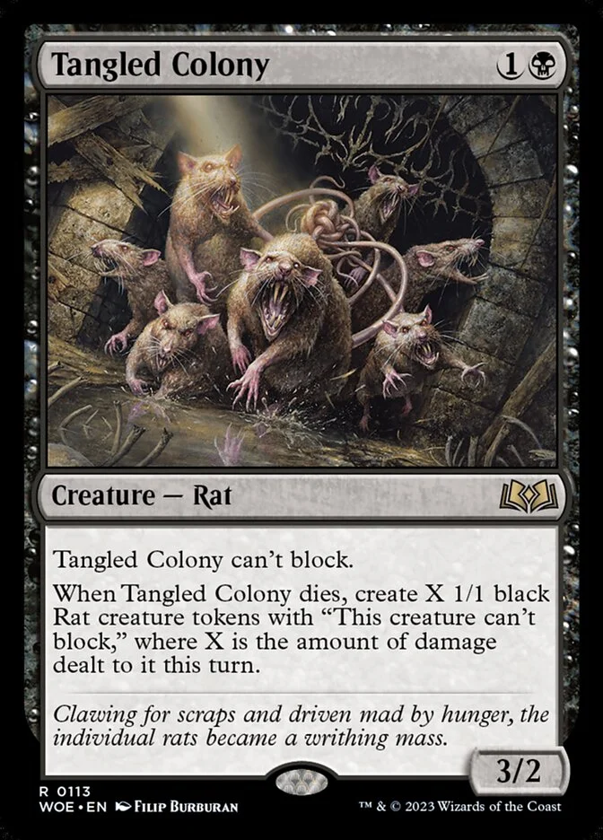 Tangled Colony 「WOE/113」「EN」