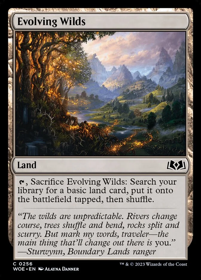 Evolving Wilds 「WOE/256」「EN」