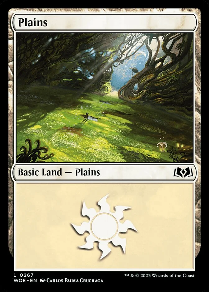 Plains 「WOE/267」「EN」
