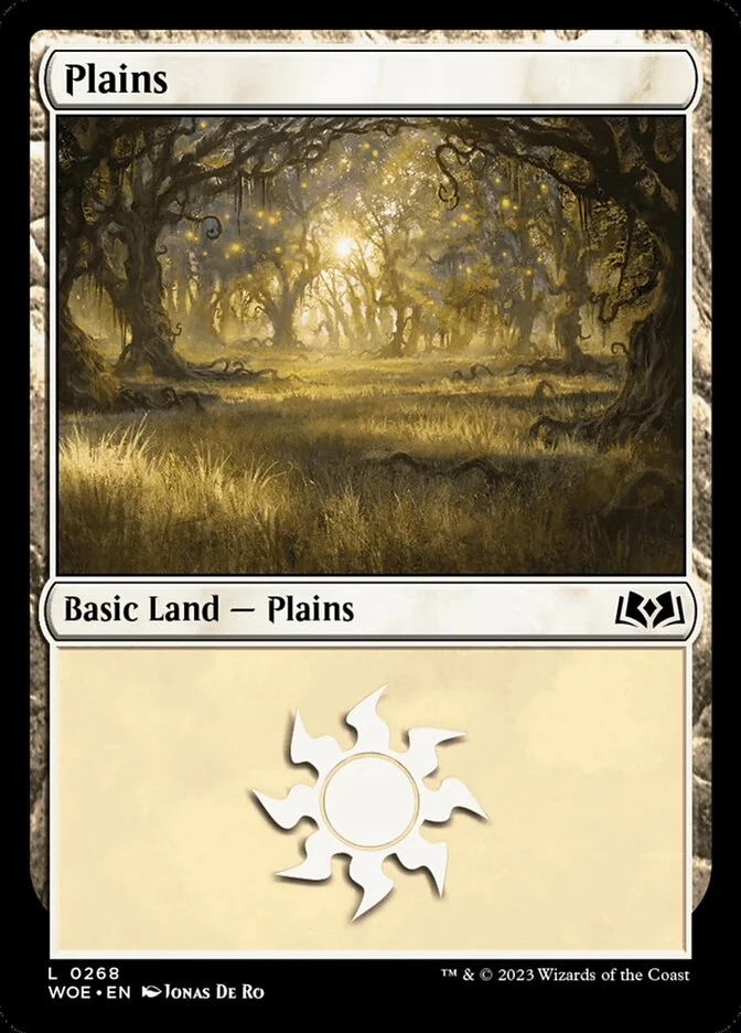 Plains 「WOE/268」「EN」