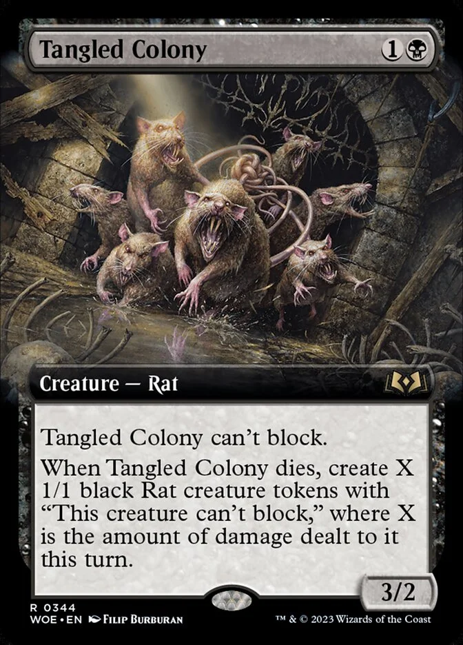 Tangled Colony 「WOE/344」「EN」