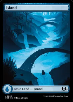 Island #263 · Magic: The Gathering