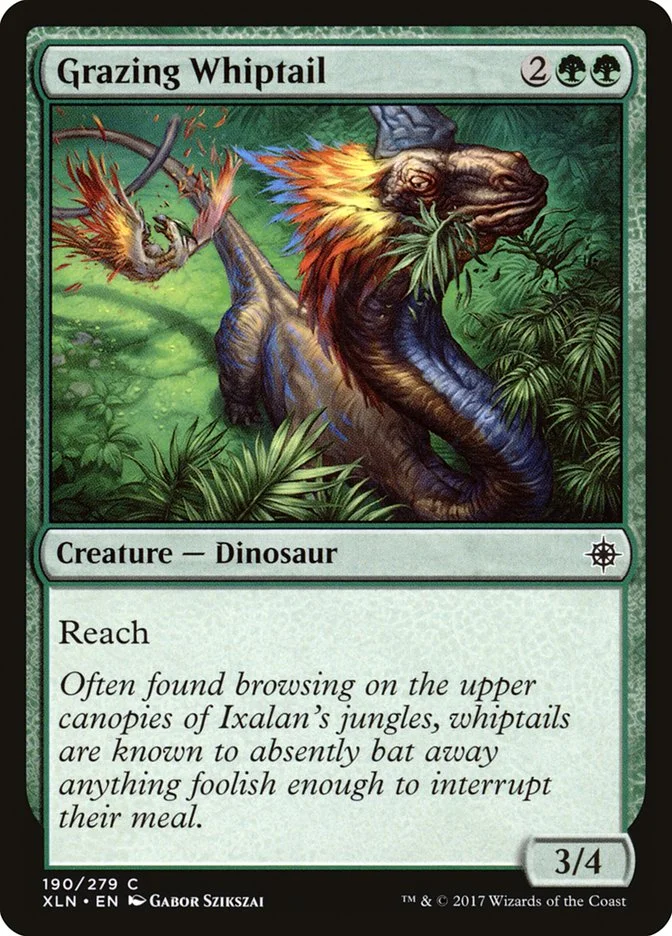 Grazing Whiptail 「XLN/190」「EN」