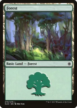 Forest 「XLN/279」「EN」