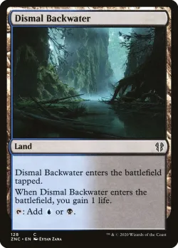 Dismal Backwater 「ZNC/128」「EN」