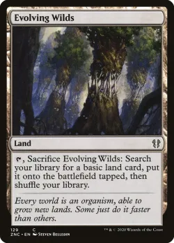 Evolving Wilds 「ZNC/129」「EN」