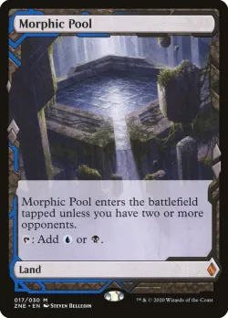 Morphic Pool 「ZNE/17」「EN」