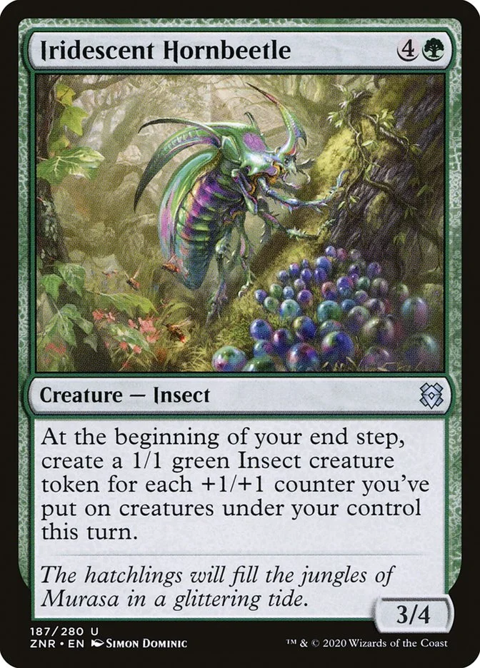 Iridescent Hornbeetle 「ZNR/187」「EN」