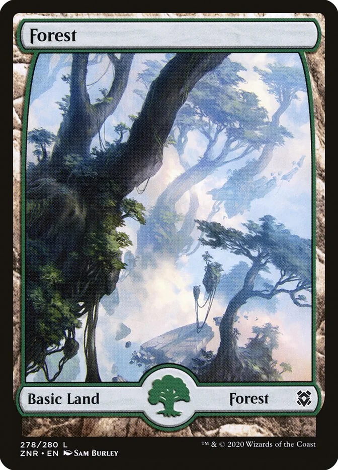 Forest 「ZNR/278」「EN」