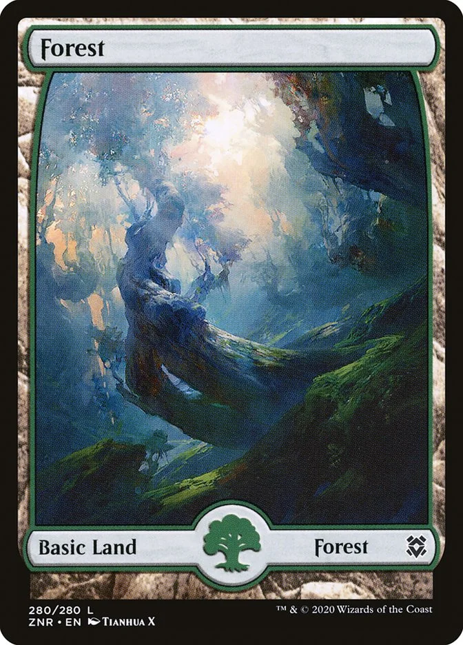 Forest 「ZNR/280」「EN」
