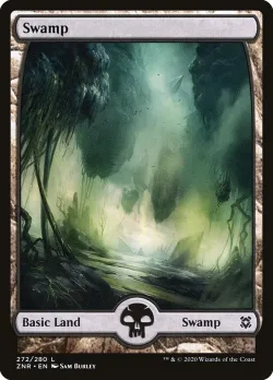 Swamp #272 · Magic: The Gathering