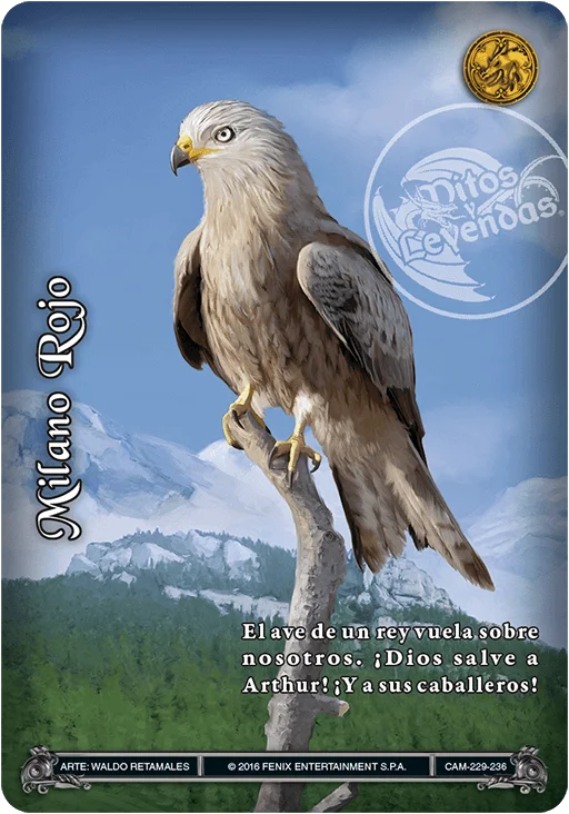 Milano Rojo 「camelot-229」 (ES)