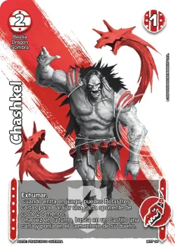 Chashkel 「LTD-213」「ES」