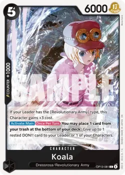 Koala 「OP13-081」「EN」
