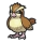 Pidgey