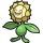 Sunflora