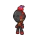 Charcadet