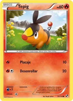 Tepig #15/114 · Pokémon