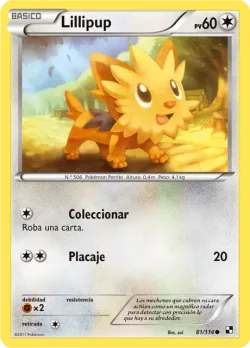 Lillipup 「BLW 081」「ES」
