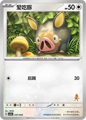 Lechonk 「CSVSC 047/066」「CN」