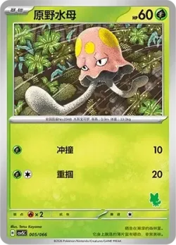 Toedscool #005/066 · Pokémon